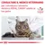 CONSULTARE IL MEDICO VETERINARIO per individuare l’alimento dietetico ROYAL CANIN adatto al tuo gatto. VETERINARY NUTRITION (olasz nyelvű szöveg)