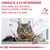 CONSULTA A TU VETERINARIO para saber qué alimento dietético ROYAL CANIN es adecuado para tu gato. Logotipo Veterinary Nutrition. Imagen de un gato en una consulta veterinaria.