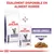 ROYAL CANIN EXPERT Mature Consult croquettes et sachet humide pour chat, mention : également disponible en aliment humide, émincé en sauce visible sur l’emballage.