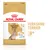Royal Canin Adult Yorkshire Terrier 8+ hondenvoer, afbeelding van een Yorkshire Terrier, tekst: Healthy Ageing Complex, Healthy Skin & Coat, vanaf 8 jaar.