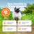 Zesty Paws Cat Urinary Care paszta Zesty Paws Cat Urinary Care paszta
