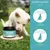 Wolfsbacher Nature Denta Vital Sticks para perros Wolfsbacher Nature Denta Vital Sticks para perros