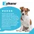 Zylkene Calming Chews for Small Dogs <10kg - 14 Chews Zylkene Calming Chews for Small Dogs <10kg - 14 Chews
