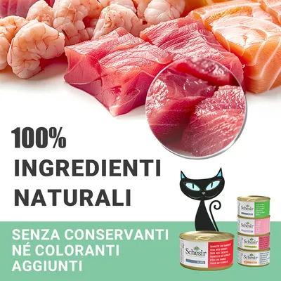 100% ingredienti naturali. Senza conservanti né coloranti aggiunti. Scatolette Schesir per gatti visibili accanto a pesce crudo e gamberi.