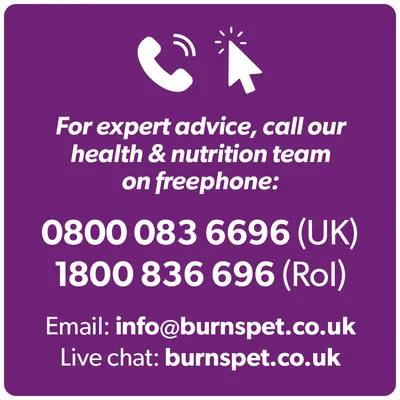 For expert advice, call 0800 083 6696 for UK or 1800 836 696 for ROI. Email info@burnspet.co.uk or use live chat at burnspet.co.uk.
