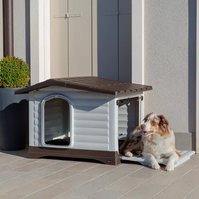 Caseta para perro de plástico gris y marrón con techo a dos aguas, puerta amplia y base elevada. Perro de tamaño mediano tumbado en la entrada de la caseta.