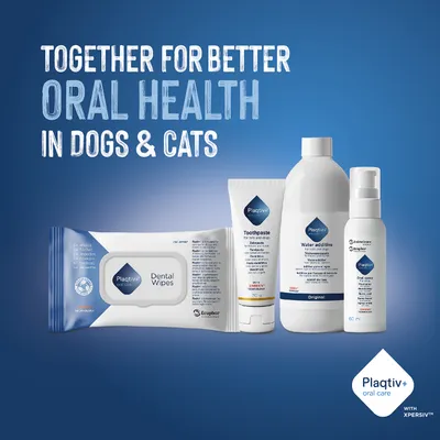 Plaqitv+ Dental Wipes, Toothpaste, Water Additive and Oral Spray for improved oral health in dogs and cats. Text: Together for better oral health in dogs & cats. Plaqitv+ Dental Wipes, Toothpaste, Water Additive and Oral Spray for improved oral health in dogs and cats. Text: Together for better oral health in dogs & cats.