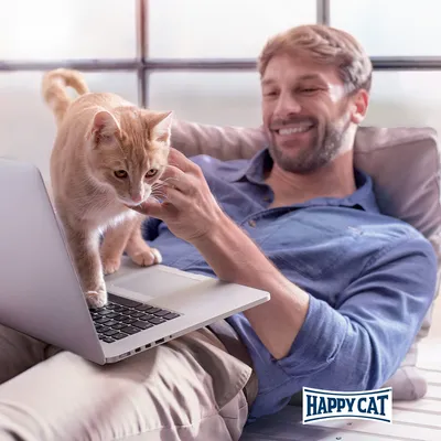 Katze auf einem Laptop, Happy Cat Logo unten rechts sichtbar.