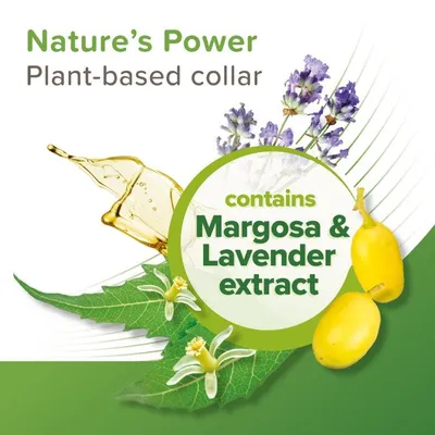 Plant-based collar contains Margosa and Lavender extract, highlighted with images of lavender flowers, Margosa fruit, and oil to show natural ingredients.