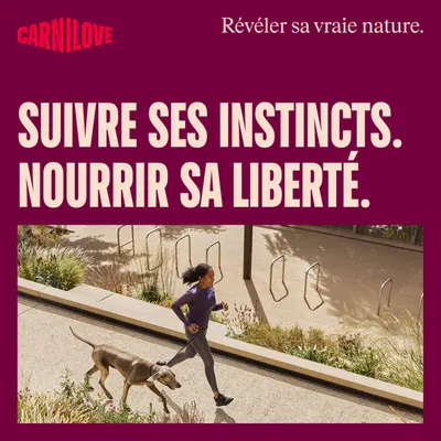 Femme faisant du jogging avec son chien en laisse dans le parc. Femme faisant du jogging avec son chien en laisse dans le parc.