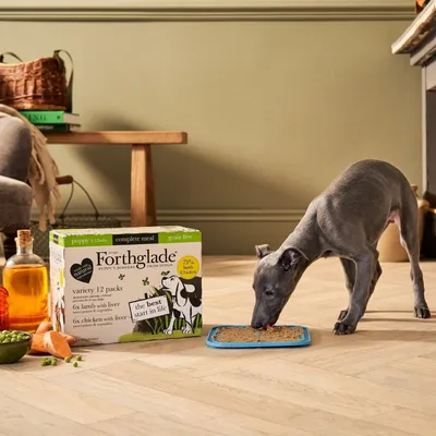 Product image showing a puppy eating food from a dish next to a Forthglade variety pack box, highlighting grain-free and 75% lamb with chicken content.