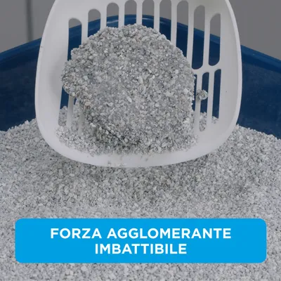 Lettiera agglomerante Ever Clean® Extra Strong - Profumo di fresco