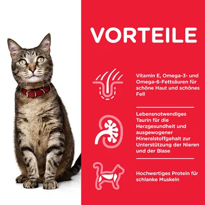 Texte en allemand : avantages, vitamine E, oméga-3 et 6 pour la peau et le pelage, taurine essentielle pour le cœur, minéraux pour reins/vessie, protéines de qualité pour muscles fins.