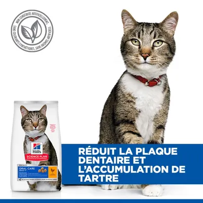 Hill's Science Plan Oral Care Adult nourriture pour chat. Réduit la plaque dentaire et la formation de tartre. Sans conservateurs, colorants ou arômes artificiels.