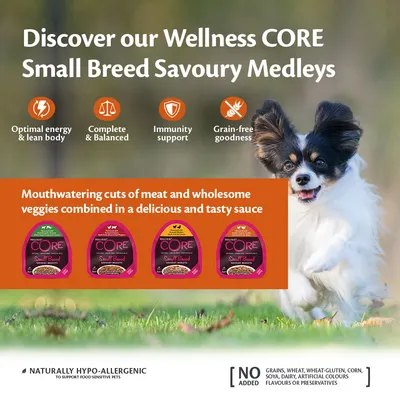 Wellness CORE Small Breed Savoury Medleys: optimal energy, balanced nutrition, immunity support, grain-free. Cuts of meat and veggies in sauce. Naturally hypo-allergenic. No added grains or dairy.