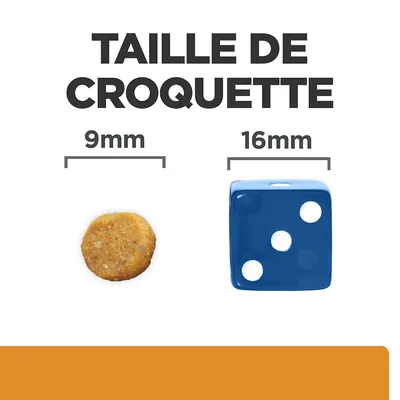 Taille de croquette : comparaison visuelle entre une croquette ronde de 9 mm et un dé bleu de 16 mm, texte inclus « TAILLE DE CROQUETTE » en haut de l’image.