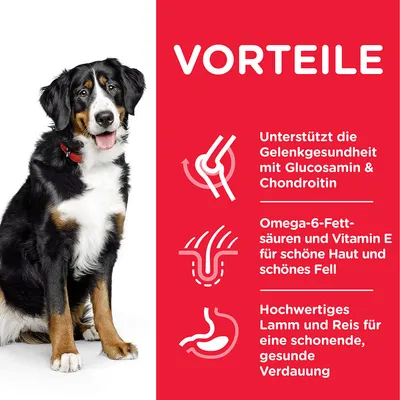 Vorteile: Unterstützt Gelenkgesundheit mit Glucosamin & Chondroitin, Omega-6-Fettsäuren und Vitamin E für Haut und Fell, Lamm und Reis für gesunde Verdauung.
