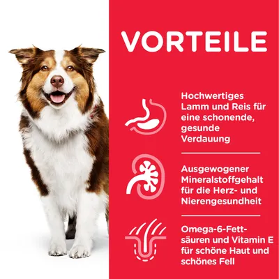 VORTEILE: Hochwertiges Lamm und Reis für eine schonende, gesunde Verdauung. Ausgewogener Mineralstoffgehalt für Herz- und Nierengesundheit. Omega-6-Fettsäuren und Vitamin E für Haut und Fell.