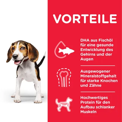 Texte en allemand : DHA aus Fischöl für eine gesunde Entwicklung des Gehirns und der Augen, ausgewogener Mineralstoffgehalt für starke Knochen und Zähne, hochwertiges Protein für den Aufbau schlanker Muskeln.