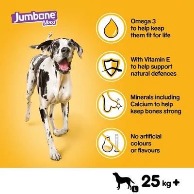 Jumbone Maxi, angol nyelvű előnyök: Omega 3, Vitamin E, kalciumos ásványi anyagok, mesterséges színezékek és aromák nélkül. Nagytestű kutyáknak, 25 kg+ jelöléssel.