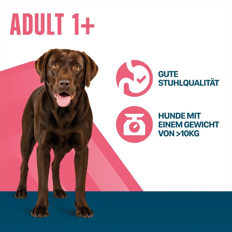 Perfect Fit Adult Hund (>10 kg)