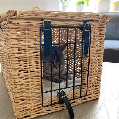 Transportkorg av flätat trä med svart galler och läderrem. Inuti en mjuk kudde, katt synlig genom gallret.