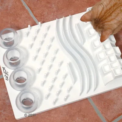 Plateau d’activité blanc en plastique avec plusieurs formes et obstacles, quatre bols ronds transparents à gauche, chat roux visible en haut à droite interagissant avec le plateau.