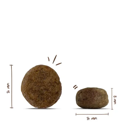 Zwei runde Kroketten mit Maßangaben: Durchmesser jeweils 14 mm, Höhe einmal 14 mm und einmal 8 mm. Zwei runde Kroketten mit Maßangaben: Durchmesser jeweils 14 mm, Höhe einmal 14 mm und einmal 8 mm.
