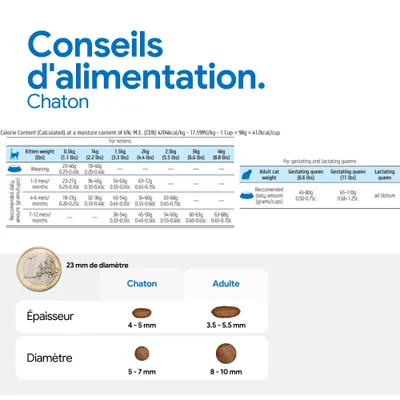 Recommandation d’alimentation pour chatons et chats adultes : quantités journalières indiquées selon le poids, le diamètre et l’épaisseur des croquettes. Tableau comparatif avec une pièce de monnaie comme référence de taille. Recommandation d’alimentation pour chatons et chats adultes : quantités journalières indiquées selon le poids, le diamètre et l’épaisseur des croquettes. Tableau comparatif avec une pièce de monnaie comme référence de taille.