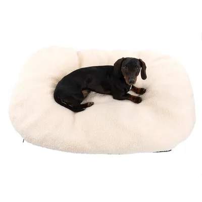 Hund ligger på en krämfärgad, mjuk hundbädd av plyschmaterial.