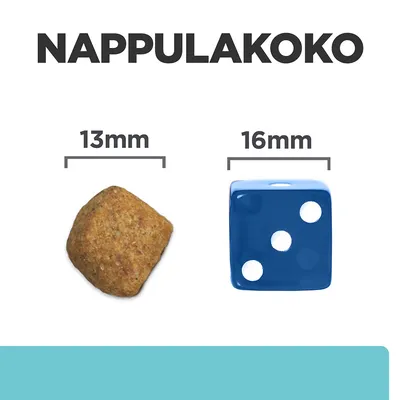 Nappulakoko: koiranruokanappula 13 mm, vertailuna sininen noppa 16 mm. Koot merkitty selkeästi kuvan yläpuolella.