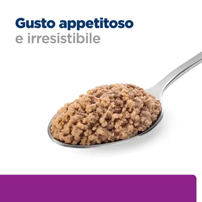 Gusto appetitoso e irresistibile, testo visibile sopra una cucchiaio con alimento umido marrone chiaro.