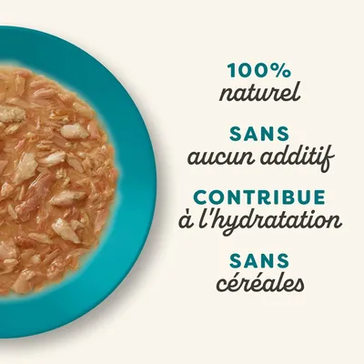 Lot économique Applaws Cat en sauce 24 x 70 g Lot économique Applaws Cat en sauce 24 x 70 g