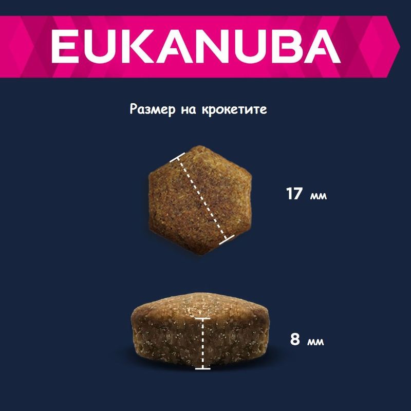 Eukanuba Senior Large & Giant Breed с агнешко и ориз