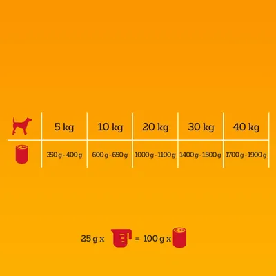 Feeding guide showing daily food amounts by weight: 5kg, 350-400g; 10kg, 600-650g; 20kg, 1000-1100g; 30kg, 1400-1500g; 40kg, 1700-1900g. 25g scoop equals 100g can.