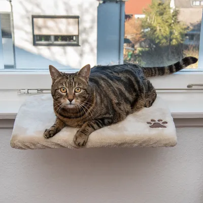 Window perch with beige plush cover and paw motif, suitable for cats. Attaches to the window frame, provides an elevated lying surface.