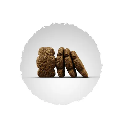 Quatre croquettes brunes en forme de palets, alignées sur fond blanc, sans marque ni texte visible.