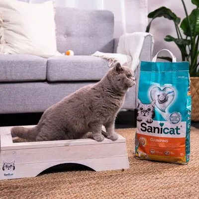 Sanicat Klonterende Kattenbakvulling met Vanille & Mandarijn Sanicat Klonterende Kattenbakvulling met Vanille & Mandarijn