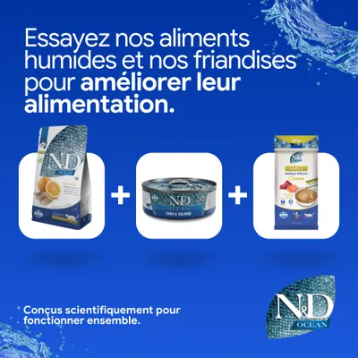 N&D Ocean croquettes, aliments humides thon & saumon et crème adulte illustrés. Texte : Essayez nos aliments humides et snacks pour améliorer l’alimentation. N&D Ocean croquettes, aliments humides thon & saumon et crème adulte illustrés. Texte : Essayez nos aliments humides et snacks pour améliorer l’alimentation.