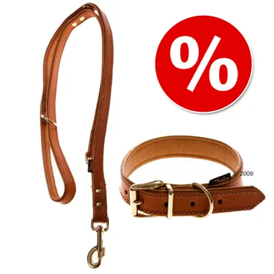 Heim Buffalo läderhalsband & koppel, konjak