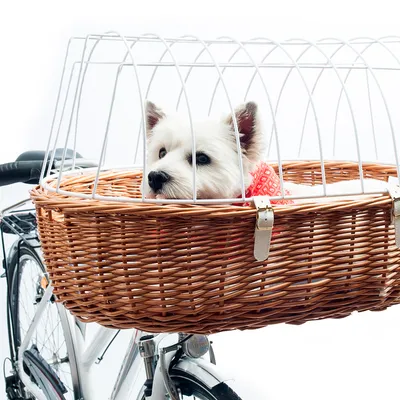 Cykelkorg av flätat trä med vitt metallgaller, monterad på en cykel. En liten hund sitter i korgen och har en röd halsduk.