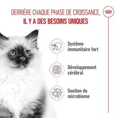 Système immunitaire fort, développement cérébral, soutien du microbiome. Remarque : à chaque phase de croissance, il existe des besoins uniques. Système immunitaire fort, développement cérébral, soutien du microbiome. Remarque : à chaque phase de croissance, il existe des besoins uniques.