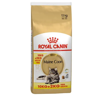 Bag showing Royal Canin Adult Maine Coon, 12kg total with 10kg plus 2kg free offer. Visible text highlights joint support and kibble shape for adult cats.