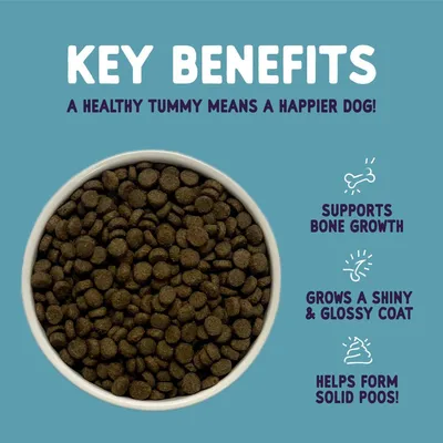 Key benefits: supports bone growth, grows a shiny and glossy coat, helps form solid poos. A healthy tummy means a happier dog. Bowl of dry pet food shown.
