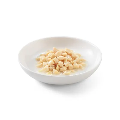 Økonomipakke med Schesir Cat Jelly Pouch 24 x 85 g