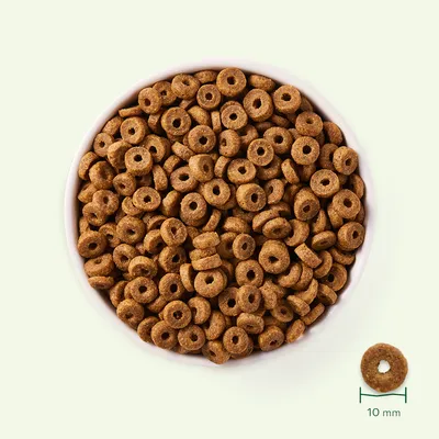 Crocchette a forma di anello in una ciotola bianca, dettaglio di una crocchetta con indicazione della dimensione: 10 mm di diametro.