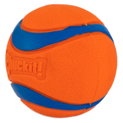 Chuckit! Palla gioco Ultra per cani - Set %: 2 x Ø 8,9 cm (XL) Chuckit! Palla gioco Ultra per cani - Set %: 2 x Ø 8,9 cm (XL)