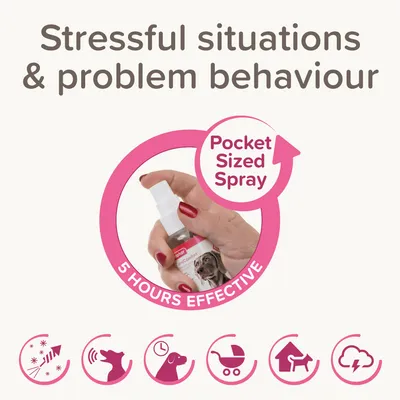 Pocket sized spray for stressful situations and problem behaviour, effective for 5 hours. Image shows a hand holding the spray bottle with related icons below.