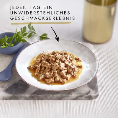 Jeden Tag ein unwiderstehliches Geschmackserlebnis. Gezeigte Portion: zarte Fleischstücke in Sauce auf einem Teller.