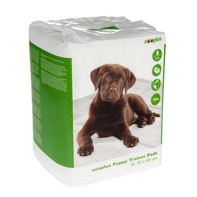 Verpackung zooplus Puppy Trainer Pads XL 90 x 60 cm, 30 Stück, mit Bild eines braunen Welpen und Symbolen für Saugfähigkeit, Geruchsbindung und Flüssigkeitsaufnahme.